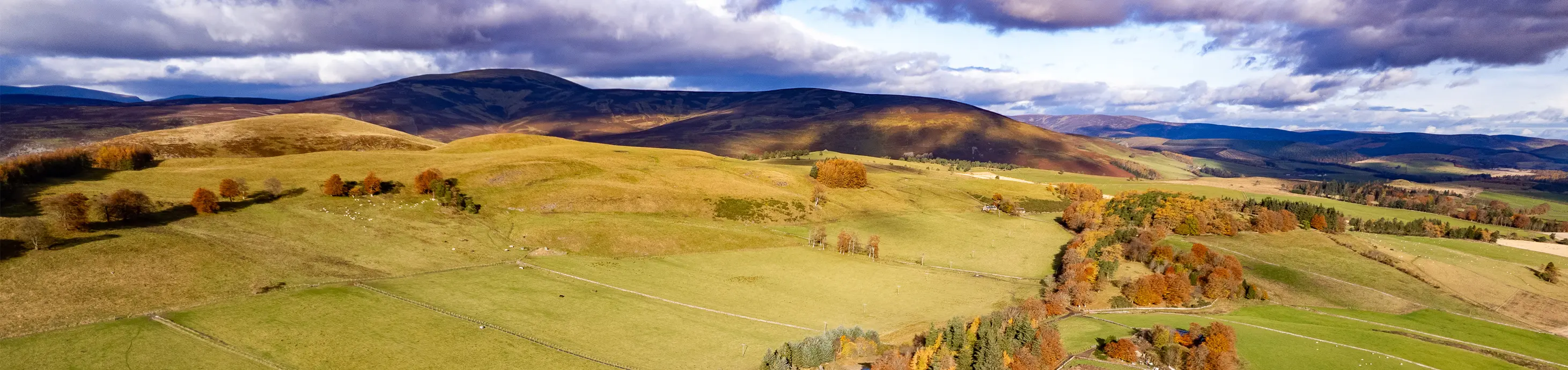 Kinclune Estate aerial view with rolling hills and woodland in autumn