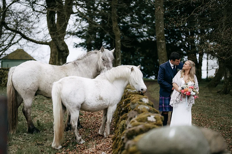 Emily & Josh with Highland ponies at their Kinclune Estate wedding. Burfly Phototgraphy.