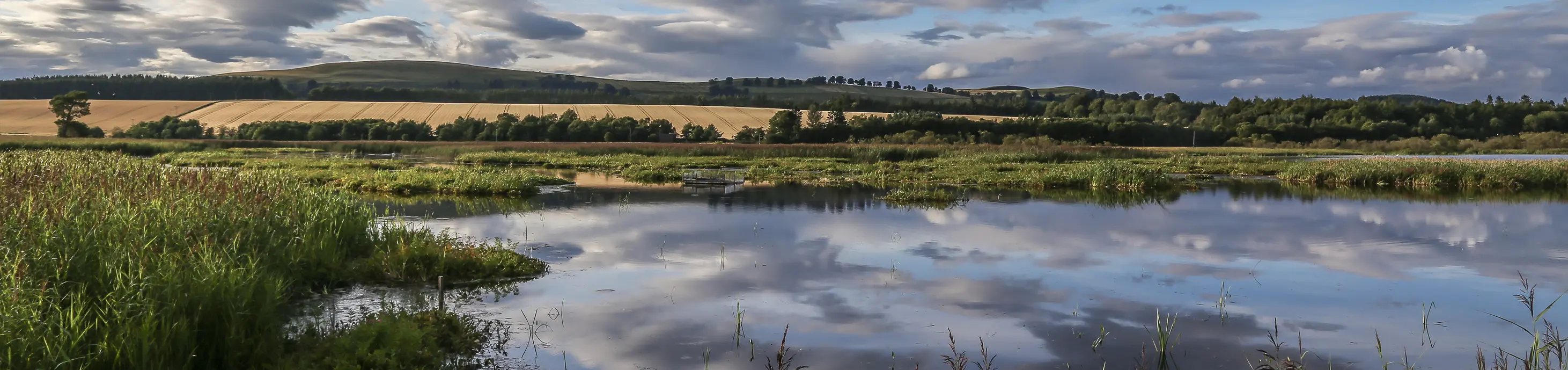 Kinnordy Loch and Nature Reserve near Kinclune Estate