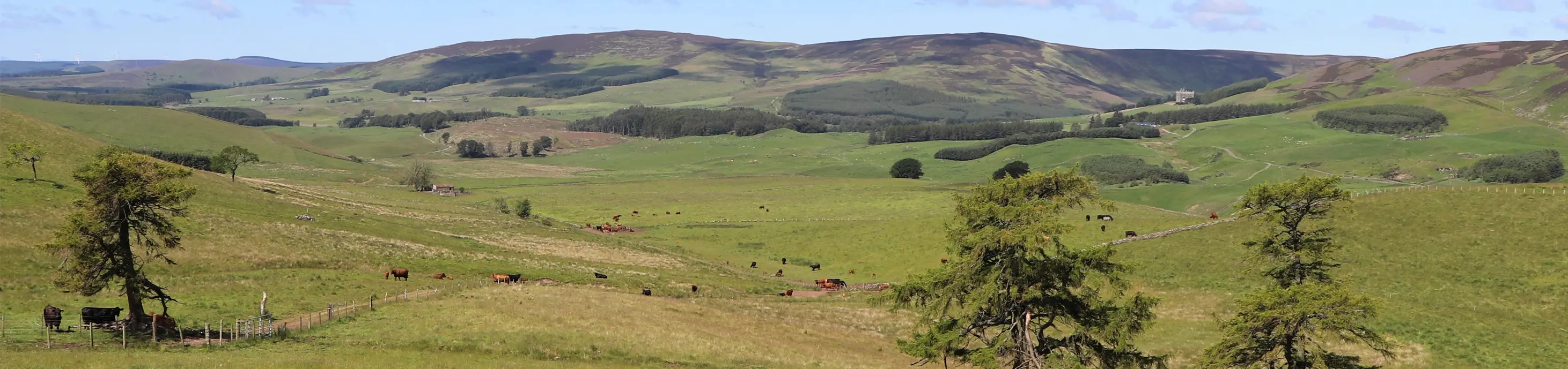 View across Kinclune Estate with rolling hills and woodland