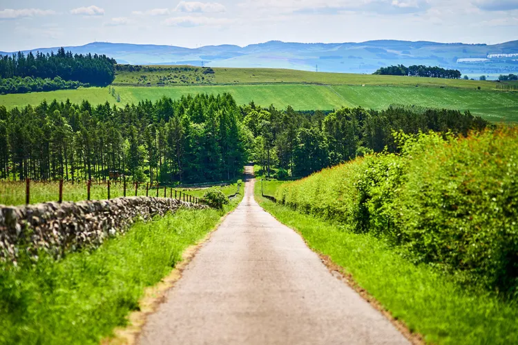 View down Kinclune House driveway with sweeping views across the Scottish countryside